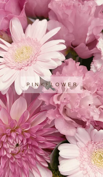 [LINE着せ替え] PINK FLOWER-hisatotoの画像1