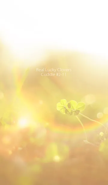 [LINE着せ替え] 四つ葉のクローバー Cuddle #2-11の画像1