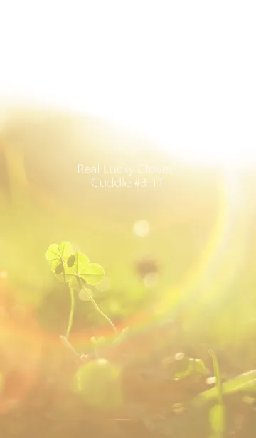 [LINE着せ替え] 四つ葉のクローバー Cuddle #3-11の画像1