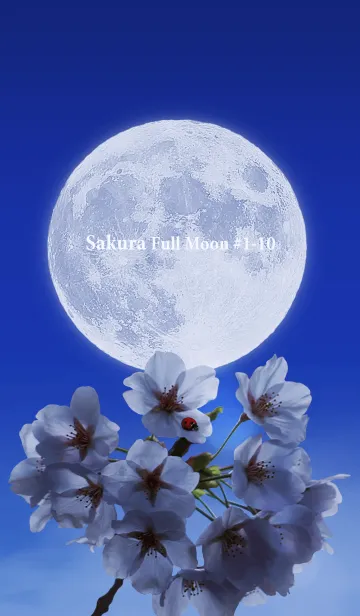[LINE着せ替え] Sakura Full Moon #1-10の画像1