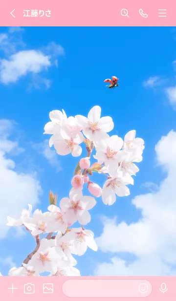 [LINE着せ替え] Sakura & Ladybird #1-2の画像2