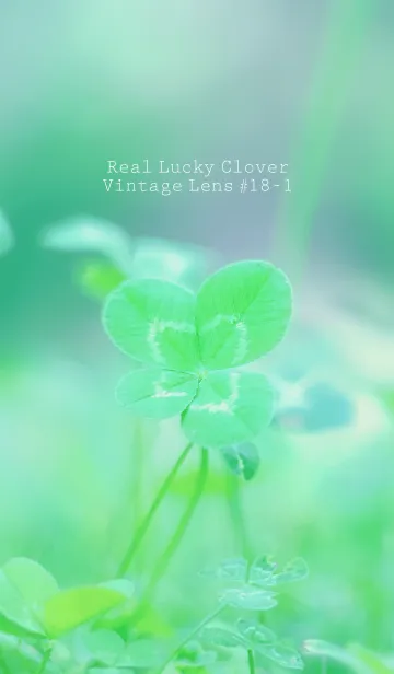 [LINE着せ替え] 四つ葉のクローバー Vintage Lens #18-1の画像1