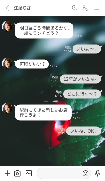 [LINE着せ替え] Ladybird Symbol of good luck #2-7の画像3