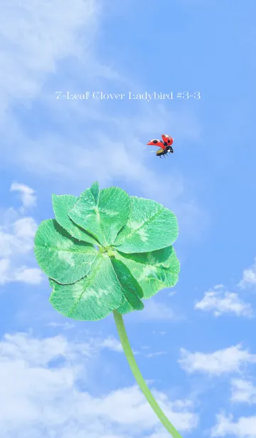 [LINE着せ替え] 七つ葉のクローバーとテントウムシ #3-3の画像1