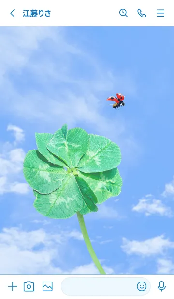 [LINE着せ替え] 七つ葉のクローバーとテントウムシ #3-3の画像2