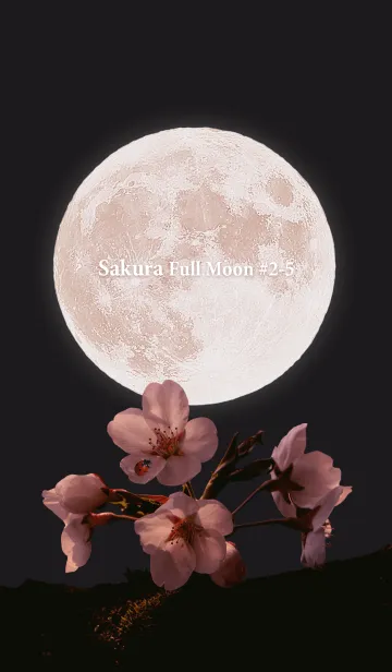 [LINE着せ替え] Sakura Full Moon #2-5の画像1