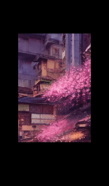 [LINE着せ替え] 和の夜桜#DR114。の画像1