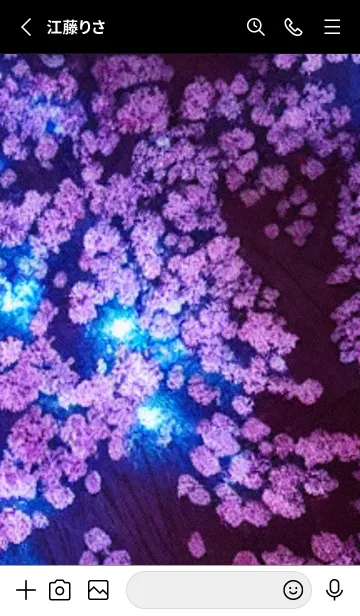 [LINE着せ替え] 幻想桜図#DS027。の画像2