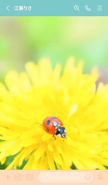 [LINE着せ替え] Ladybird Symbol of good luck #3-7の画像2