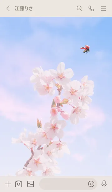 [LINE着せ替え] Sakura & Ladybird #3-2の画像2