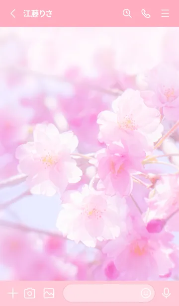 [LINE着せ替え] SakuraBokeh 34の画像2