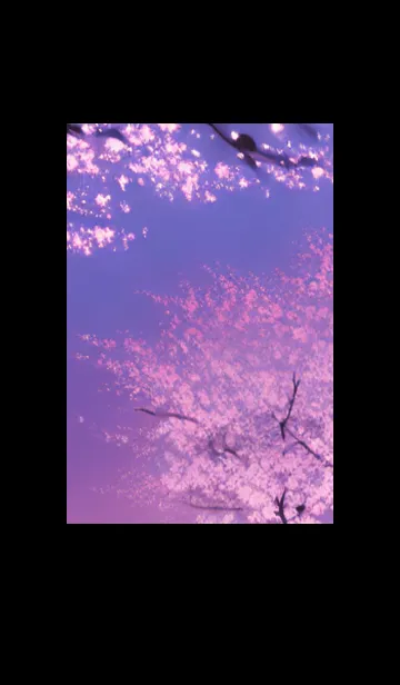 [LINE着せ替え] 幻想桜図#DS014。の画像1