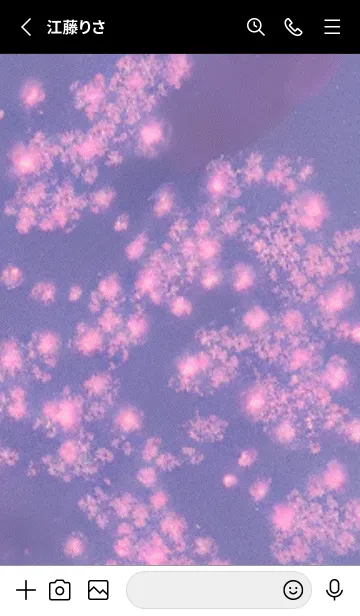 [LINE着せ替え] 幻想桜#DT15。の画像2