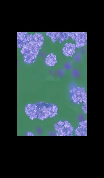 [LINE着せ替え] 幻想桜#DU03。の画像1