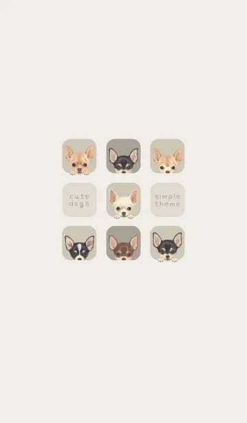 [LINE着せ替え] DOGS - チワワ - グリーングレーの画像1