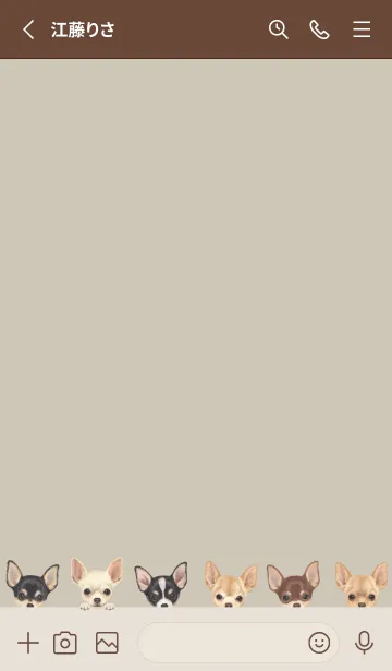 [LINE着せ替え] DOGS - チワワ - グリーングレーの画像2