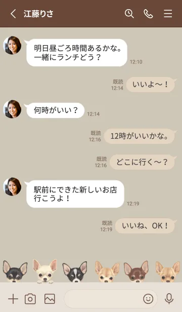 [LINE着せ替え] DOGS - チワワ - グリーングレーの画像3