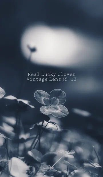 [LINE着せ替え] 四つ葉のクローバー Vintage Lens #5-13の画像1