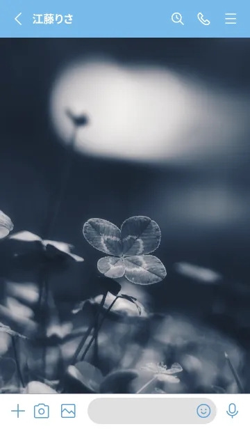 [LINE着せ替え] 四つ葉のクローバー Vintage Lens #5-13の画像2