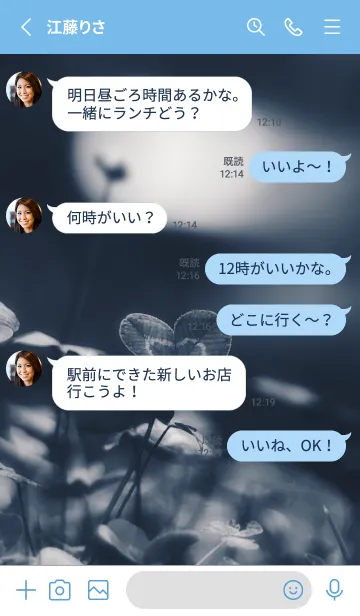 [LINE着せ替え] 四つ葉のクローバー Vintage Lens #5-13の画像3