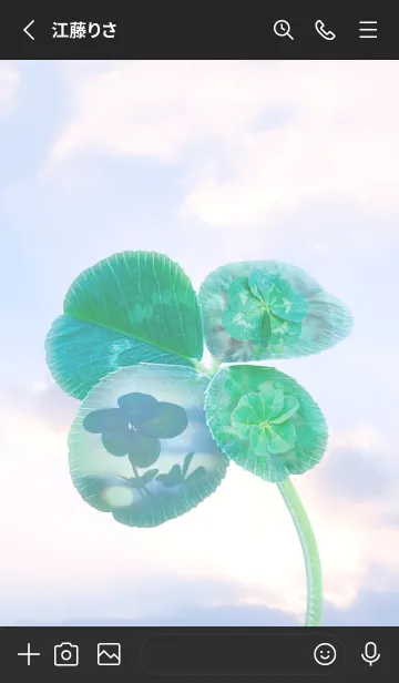 [LINE着せ替え] Four-Leaf Clover Lucky World #2-4の画像2