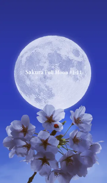 [LINE着せ替え] Sakura Full Moon #1-11の画像1