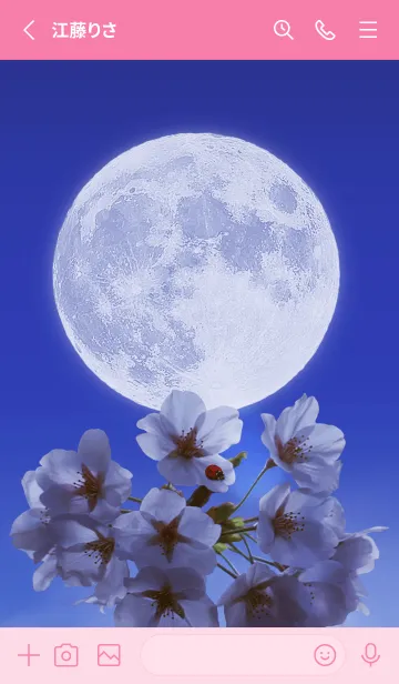 [LINE着せ替え] Sakura Full Moon #1-11の画像2