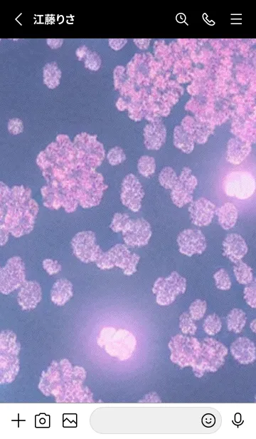 [LINE着せ替え] 幻想桜#DU08。の画像2