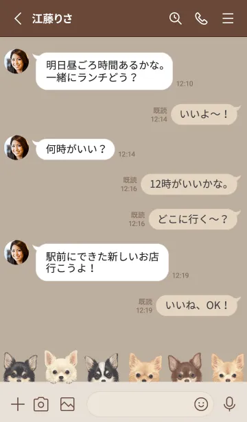 [LINE着せ替え] DOGS - チワワ L - ベージュグレーの画像3