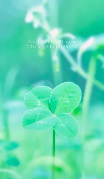 [LINE着せ替え] 四つ葉のクローバー Vintage Lens #6-13の画像1