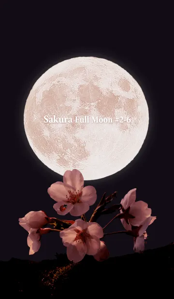[LINE着せ替え] Sakura Full Moon #2-6の画像1