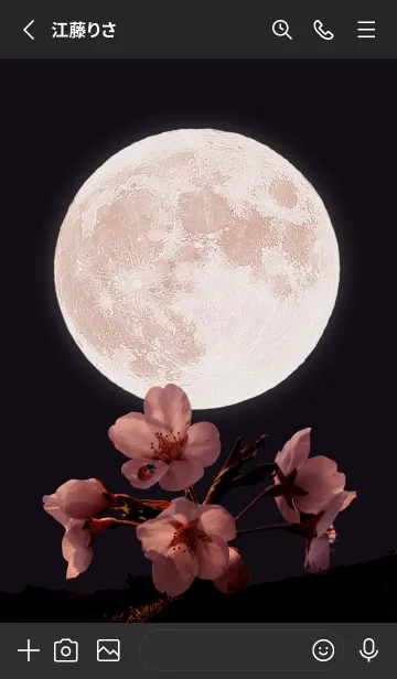 [LINE着せ替え] Sakura Full Moon #2-6の画像2