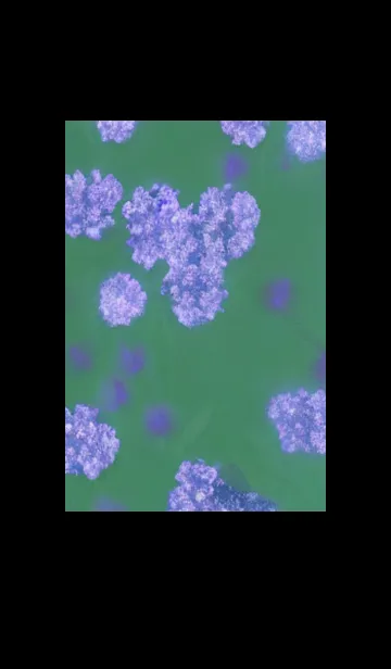 [LINE着せ替え] 幻想桜#DU020。の画像1