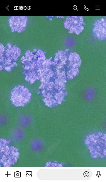 [LINE着せ替え] 幻想桜#DU020。の画像2