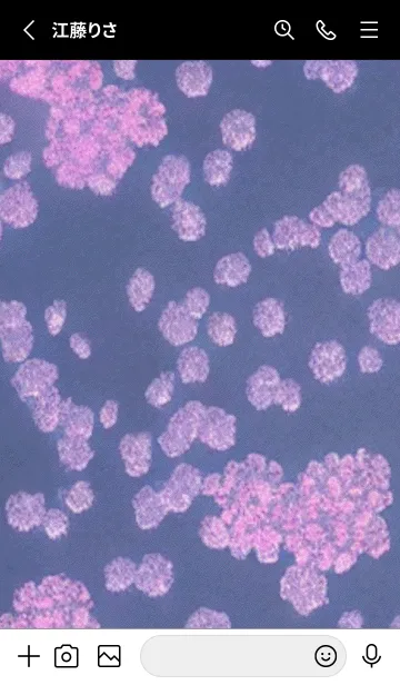 [LINE着せ替え] 幻想桜#DU017。の画像2