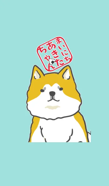 [LINE着せ替え] まいにちあきたちゃん 秋田犬の画像1