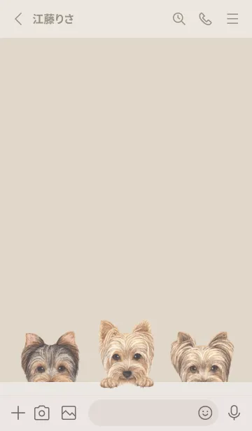 [LINE着せ替え] ワンワン - ヨーキー - パステルブラウンの画像2