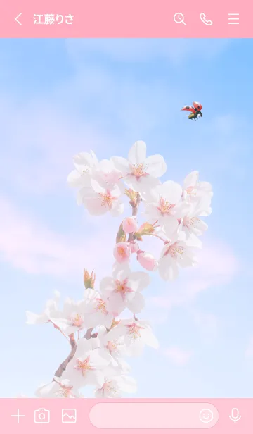 [LINE着せ替え] Sakura & Ladybird #3-3の画像2
