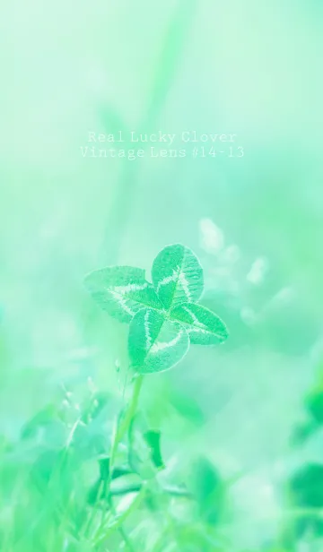 [LINE着せ替え] 四つ葉のクローバー Vintage Lens #14-13の画像1
