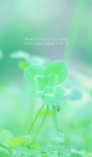 [LINE着せ替え] 四つ葉のクローバー Vintage Lens #18-2の画像1