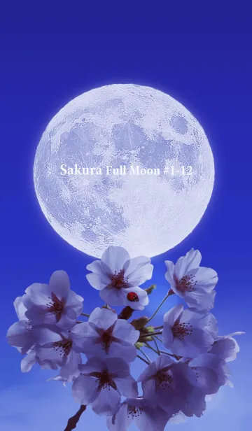 [LINE着せ替え] Sakura Full Moon #1-12の画像1