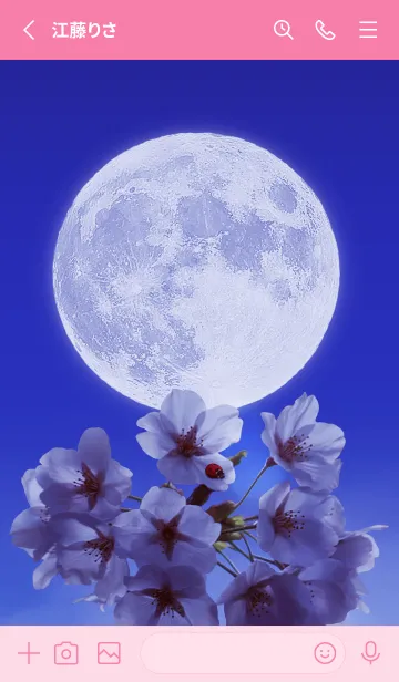 [LINE着せ替え] Sakura Full Moon #1-12の画像2