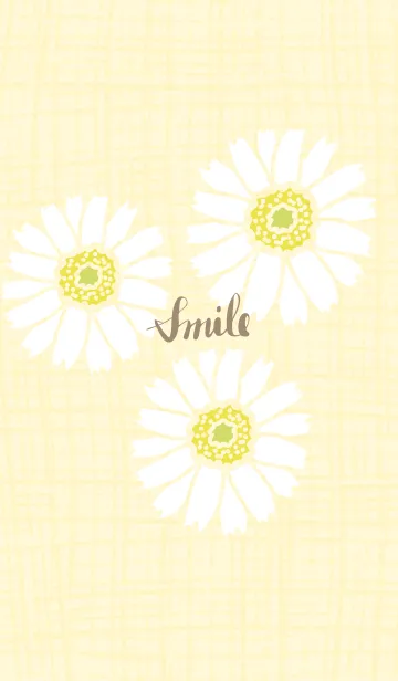 [LINE着せ替え] 3輪の白いガーベラ27の画像1