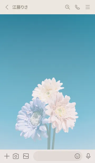 [LINE着せ替え] Blue sky and flowersの画像2