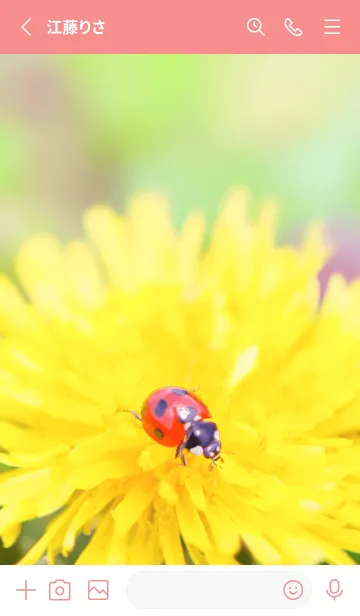 [LINE着せ替え] Ladybird Symbol of good luck #3-8の画像2