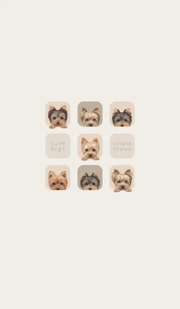 [LINE着せ替え] DOGS - ヨーキー - ベージュグレーの画像1