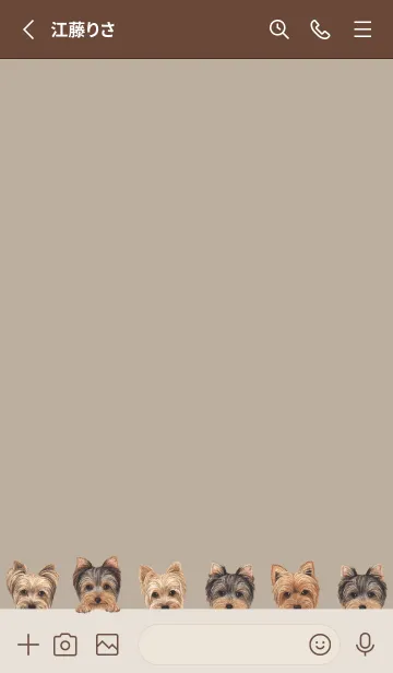 [LINE着せ替え] DOGS - ヨーキー - ベージュグレーの画像2