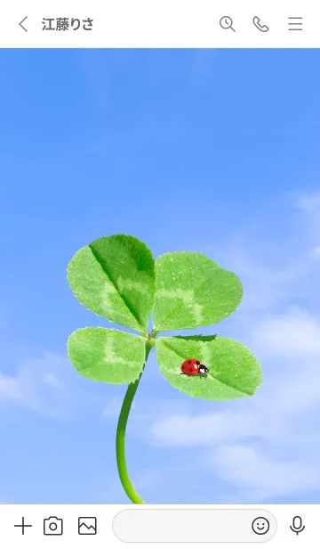 [LINE着せ替え] 四つ葉のクローバーとテントウムシ #6-3の画像2