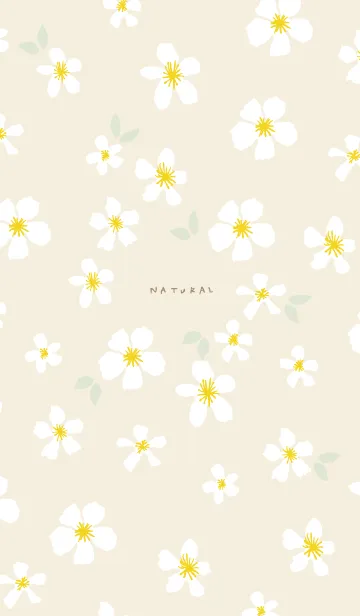 [LINE着せ替え] 白い花 大人カラー24の画像1