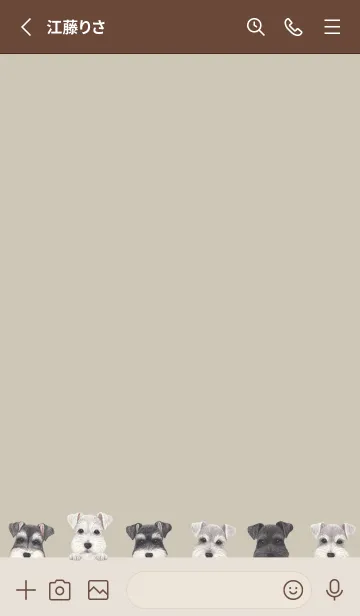 [LINE着せ替え] DOGS - シュナウザー - グリーングレーの画像2